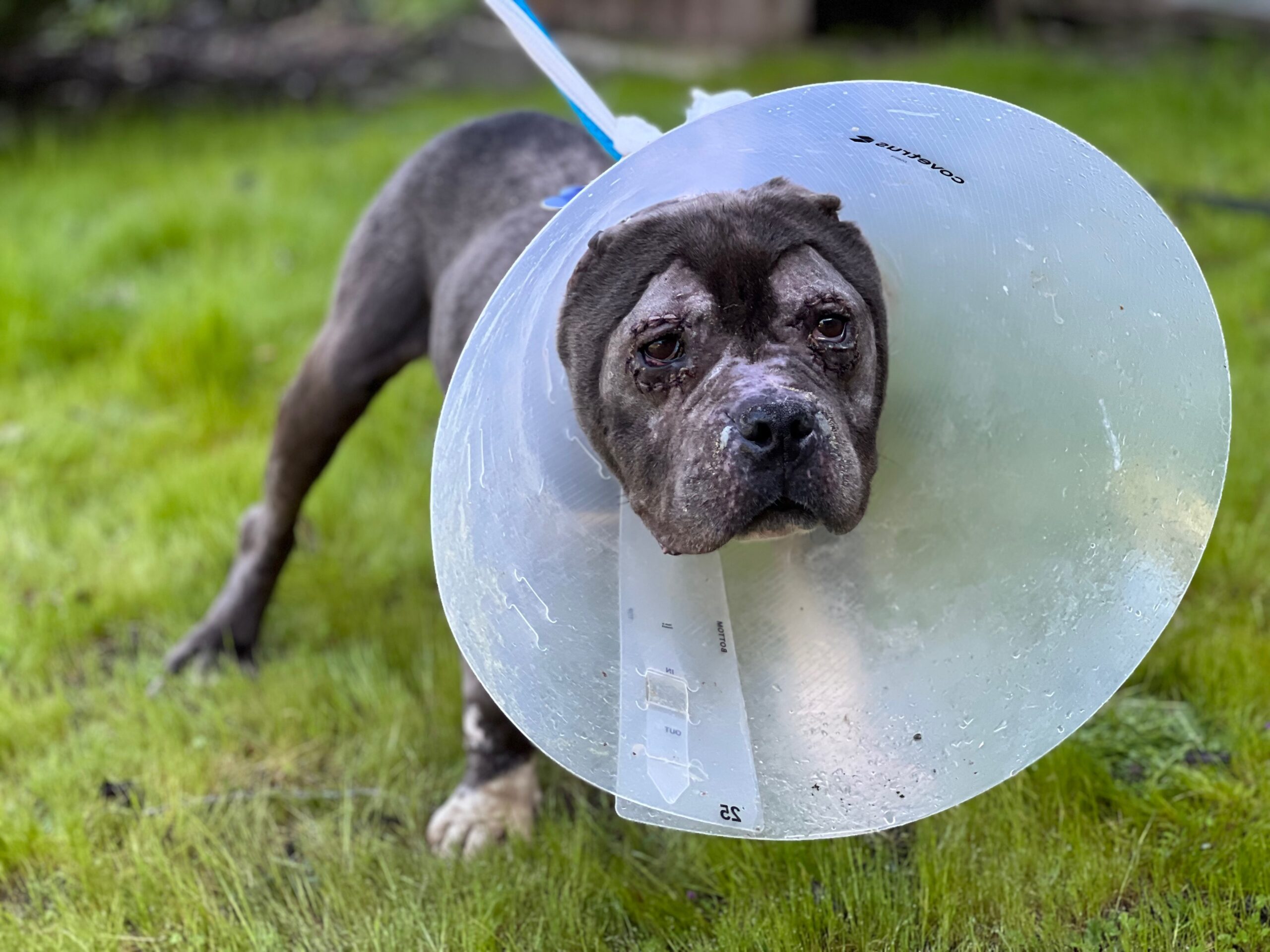 SPCA Monterey County
