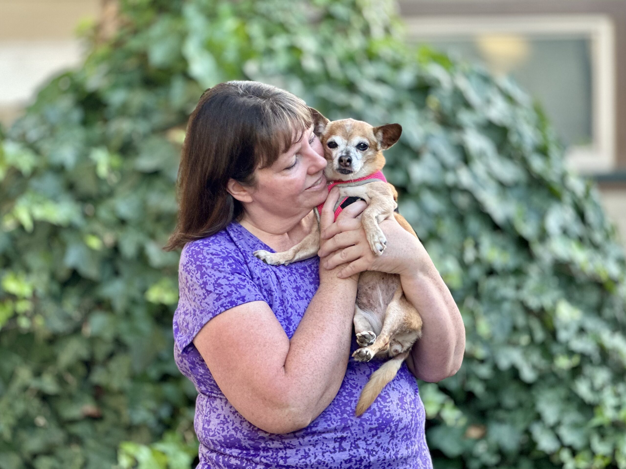 Peace of Mind Dog Rescue